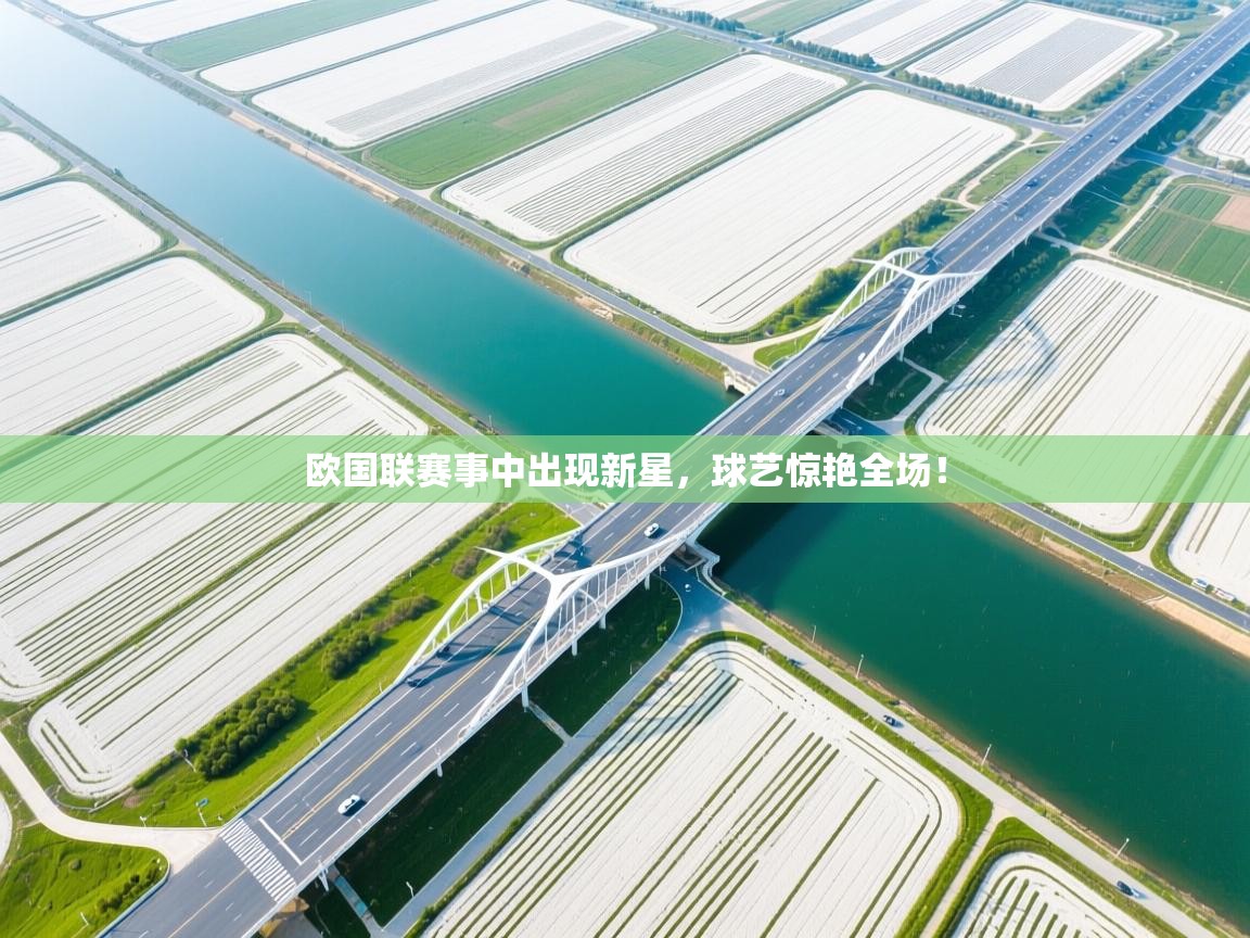 欧国联赛事中出现新星，球艺惊艳全场！  第1张