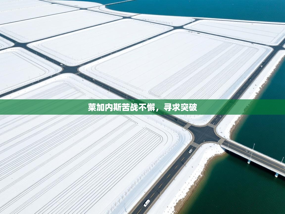 莱加内斯苦战不懈，寻求突破