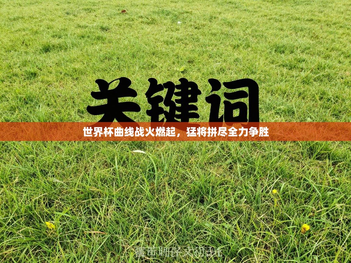 世界杯曲线战火燃起，猛将拼尽全力争胜  第1张